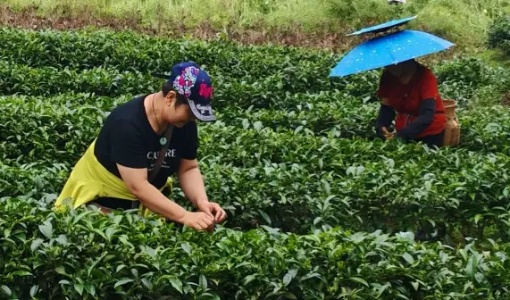 上海本地热点推荐网：夜生活品茶休闲的新潮流，你跟上节奏了吗？🍵