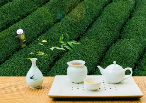 上海抹茶拿铁新地标！小羊拉花萌化新天地咖啡圈 🐑