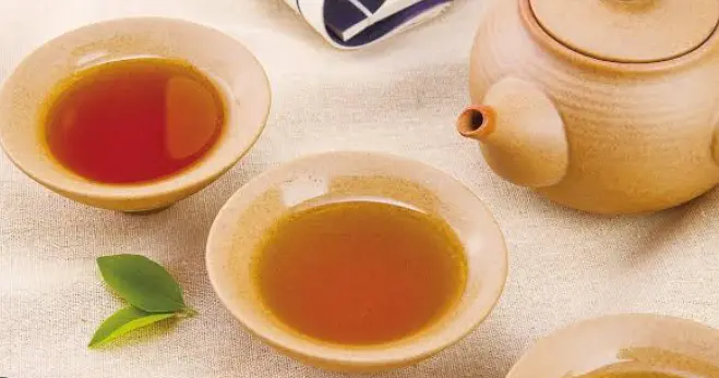 上海武康路探店指南：梧桐深处，哪杯咖啡最值得端起？☕